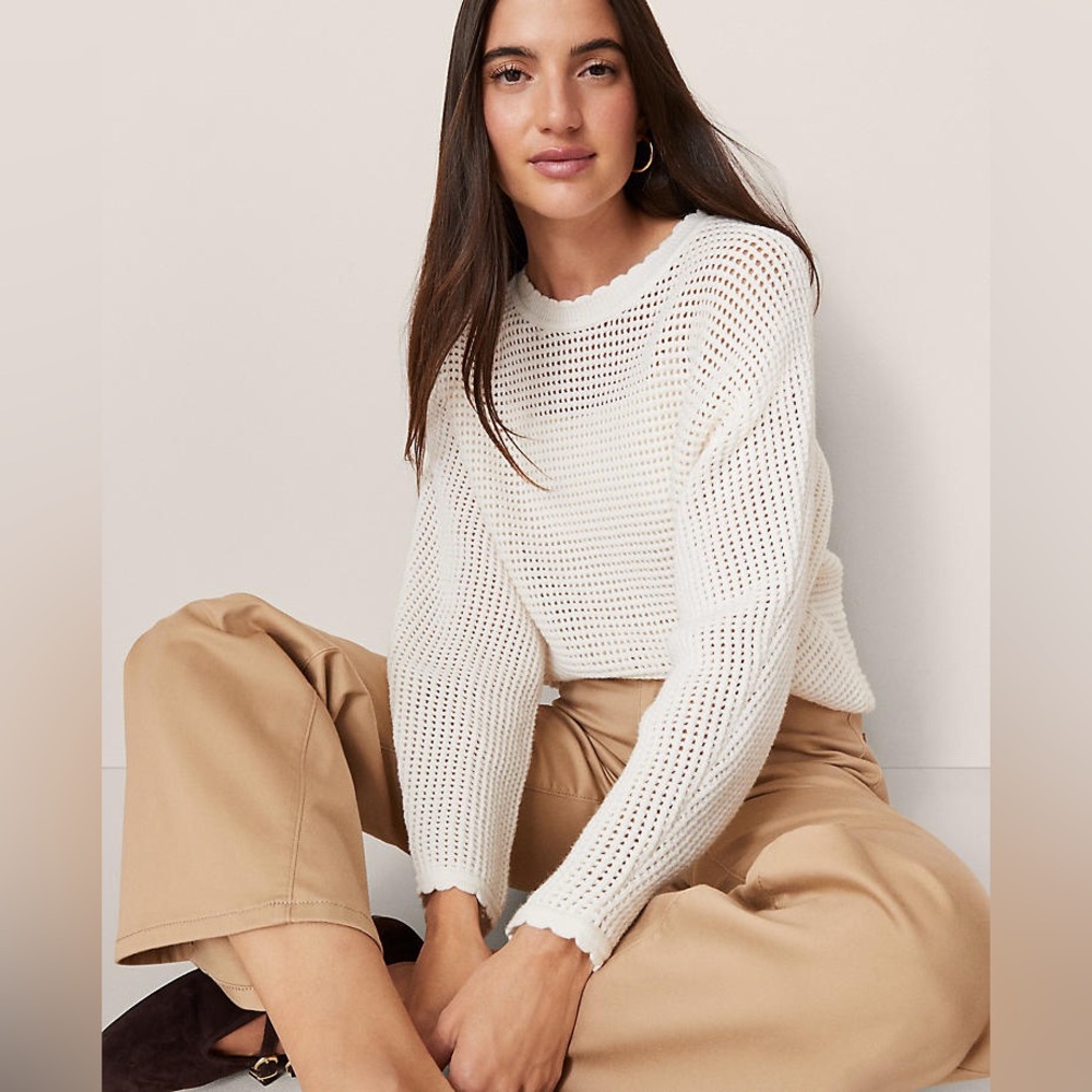 Ann Taylor White Crochet Knit Crew Neck Sweater Textured  size XSP